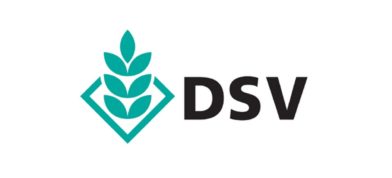 DSV UK