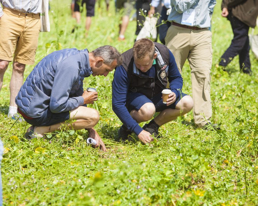 Organic & Regenerative Credentials