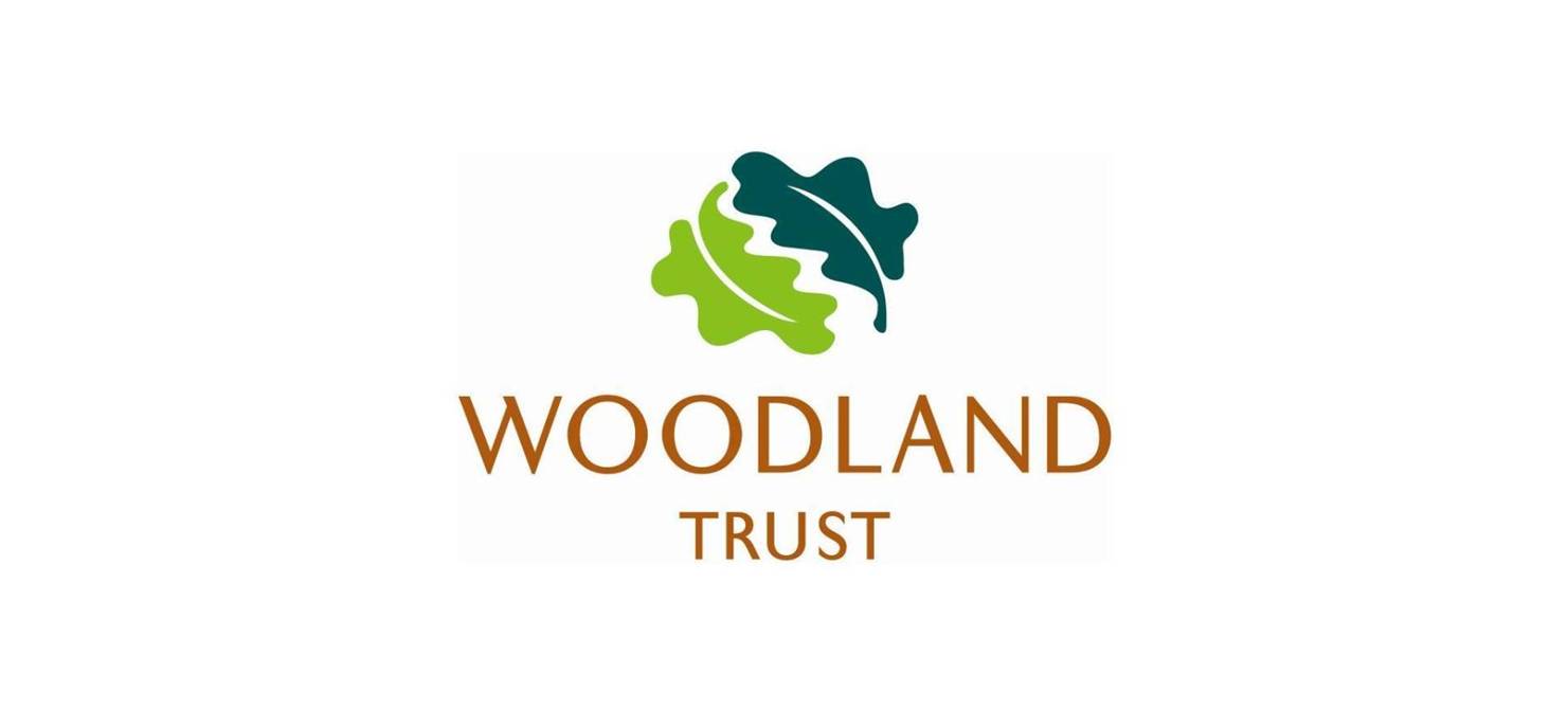 Groundswell Conference Exhibitor Woodland Trust Groundswell