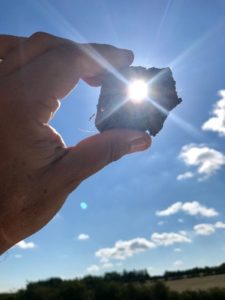 Soil and Sunshine