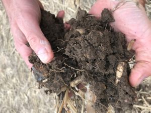 No-Till Soil 