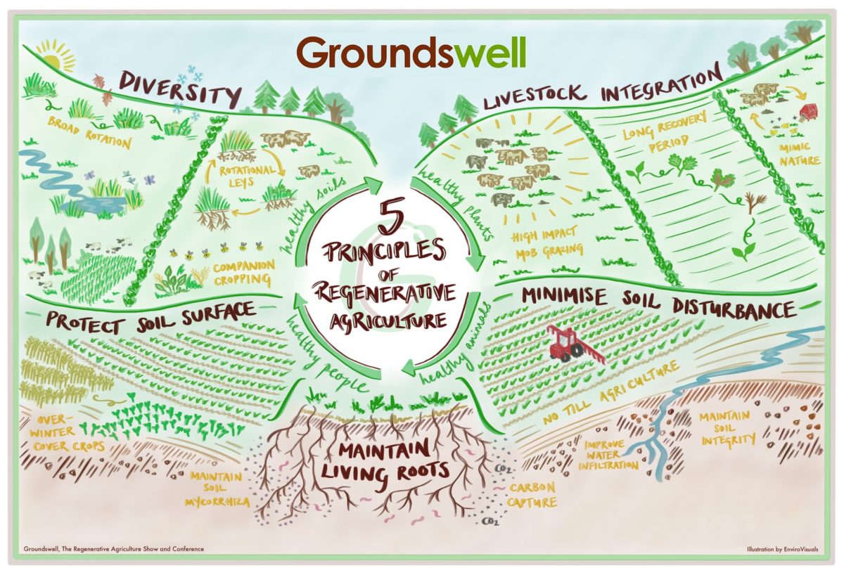 Groundswell 5 Principles of Regenerative Agriculture