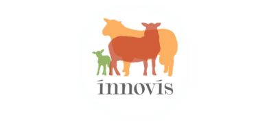 Innovis Ltd