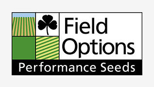 Field Options