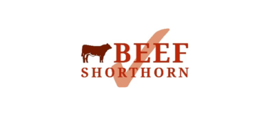 Beef Shorthorn Society