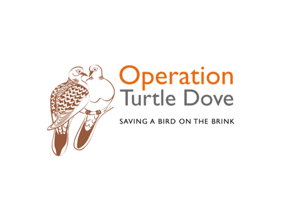 Groundswell Conference Exhibitor Operation Turtle Dove Groundswell