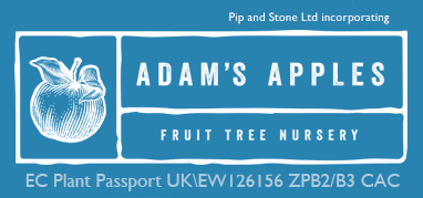 Adam’s Apples Nursery