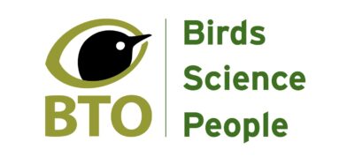 BTO