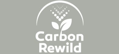 Carbon Rewild