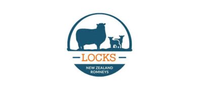 Locks New Zealand Romneys